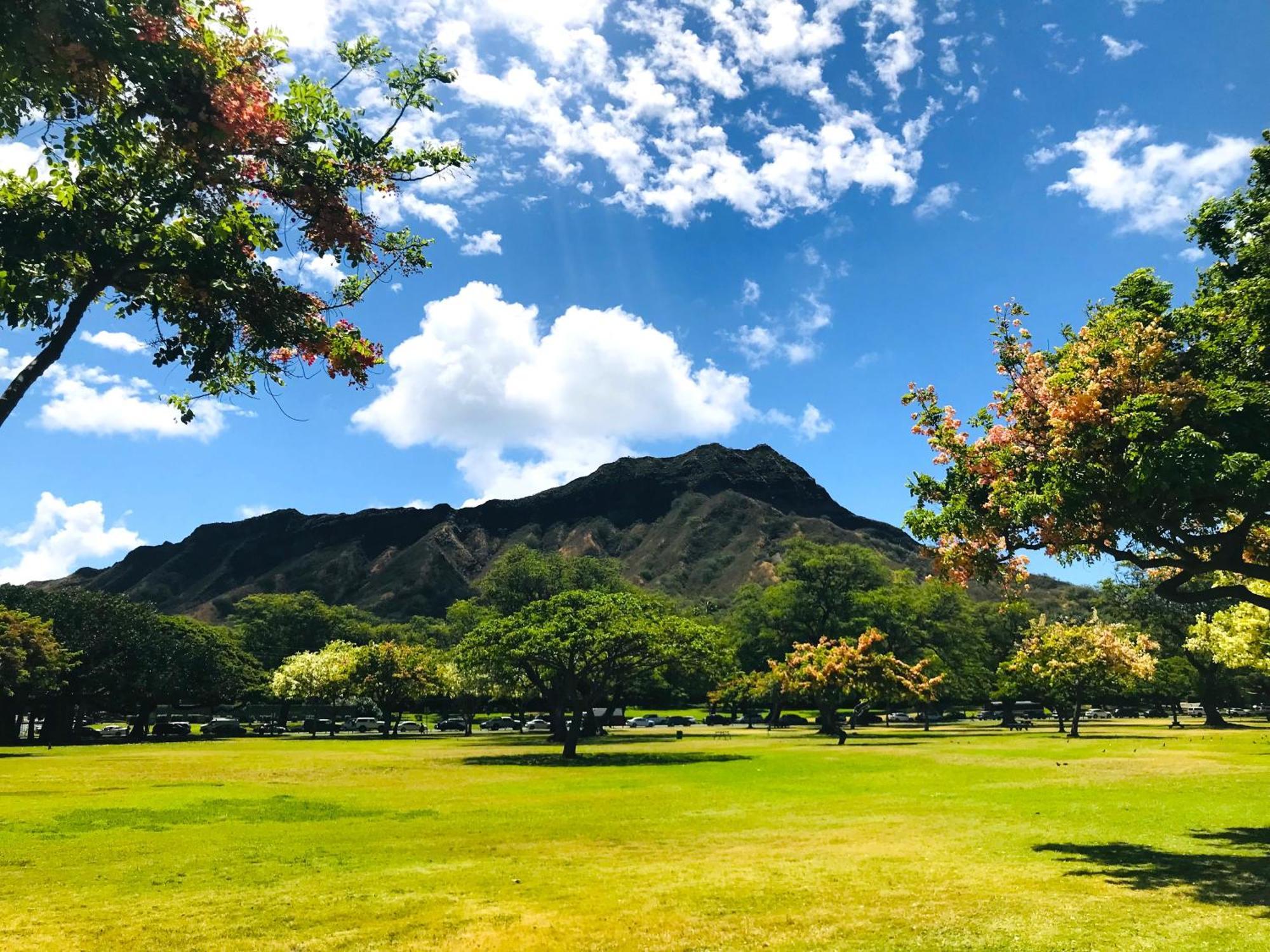 Royal Kuhio 1606 - Spacious Studio With Diamond Head City Views In The Heart Of Waikiki! Honolulu Ngoại thất bức ảnh
